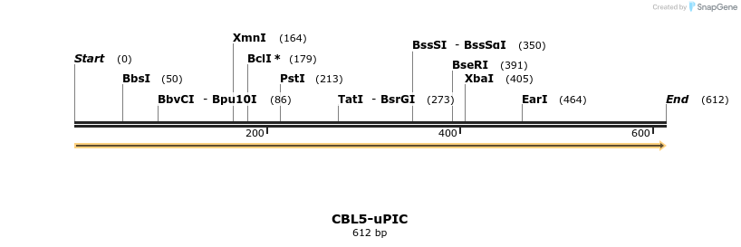 222681_map