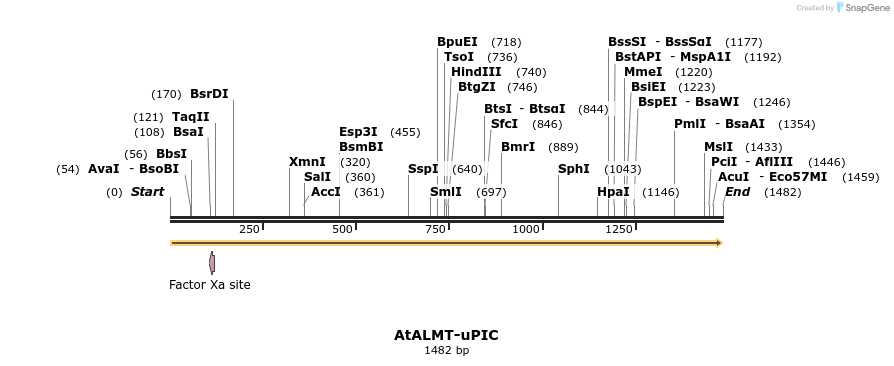 222685_map