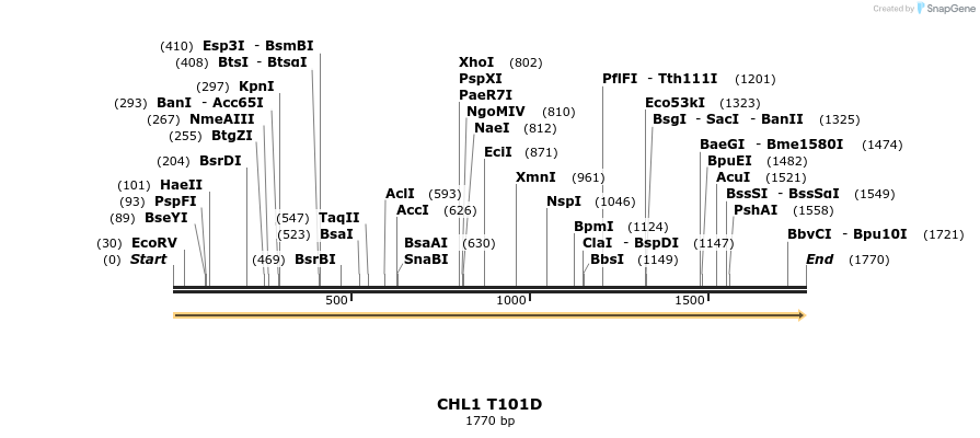 222690_map