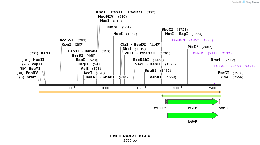 222693_map