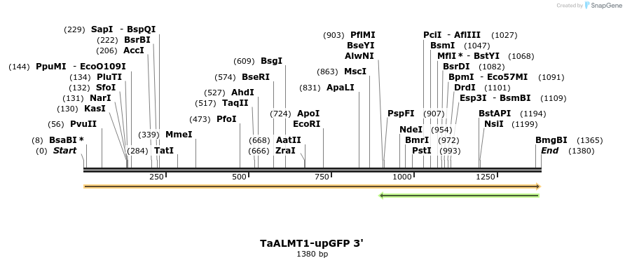 222698_map