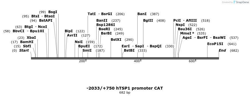 22271_map