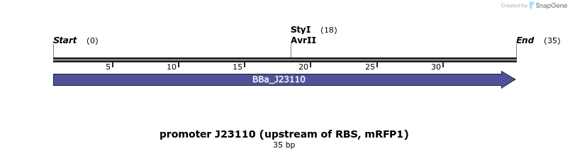 222713_map