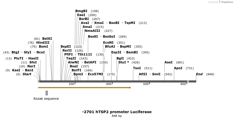 22272_map