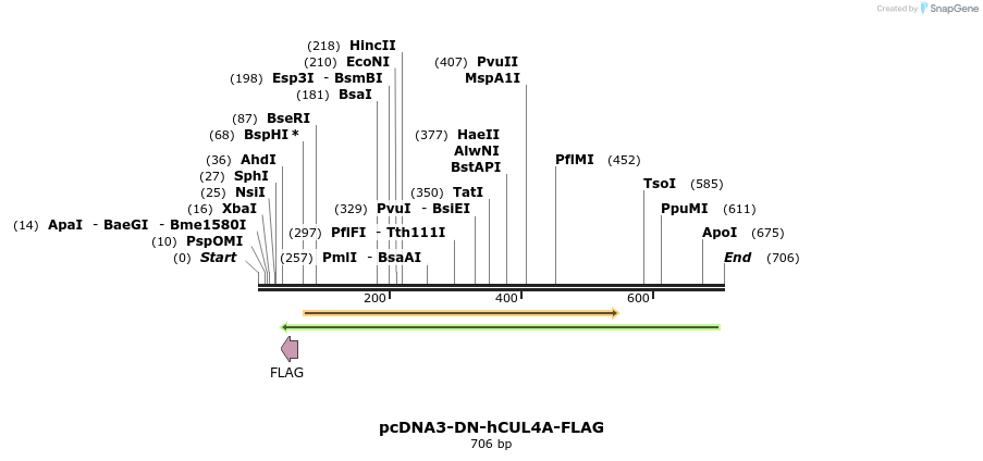 22274_map