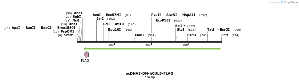 22276_map
