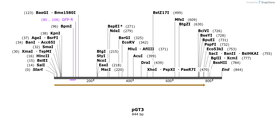 22278_map