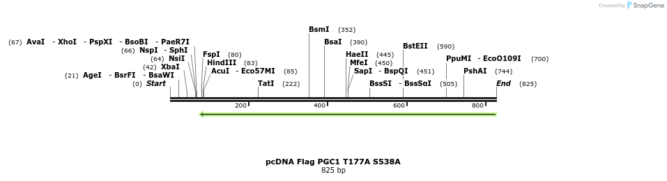 22280_map