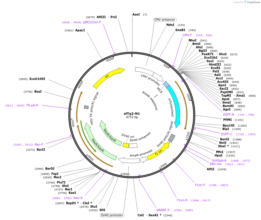 222801_map