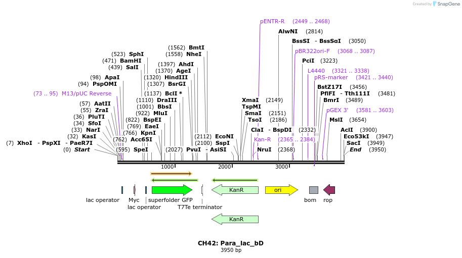 222903_map