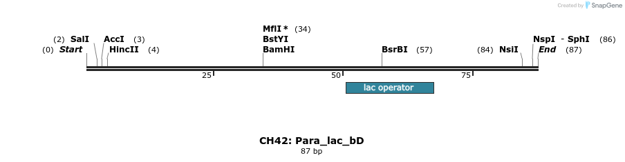 222904_map