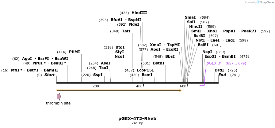 22291_map
