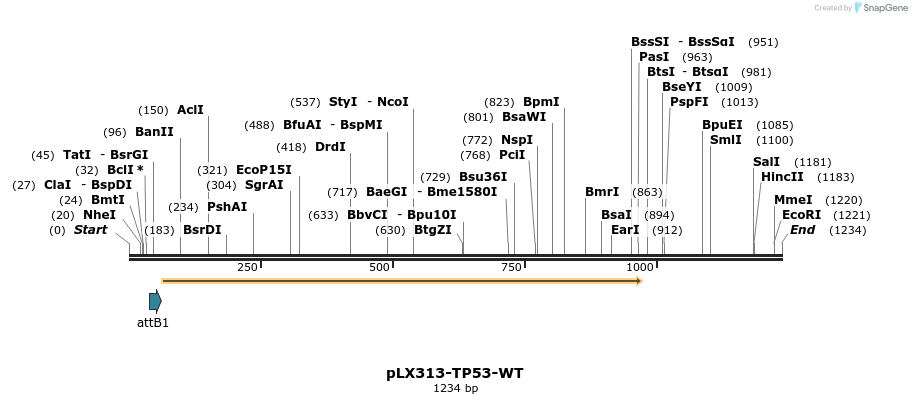 222922_map