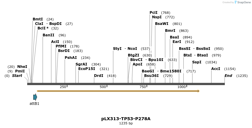 222924_map