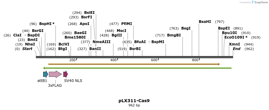 222930_map