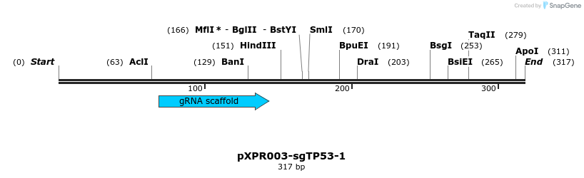 222932_map
