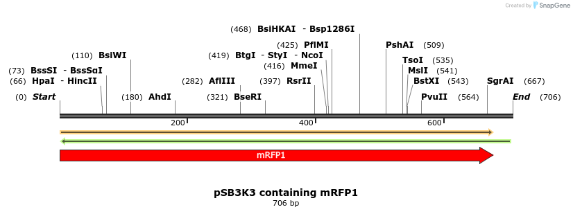 222988_map