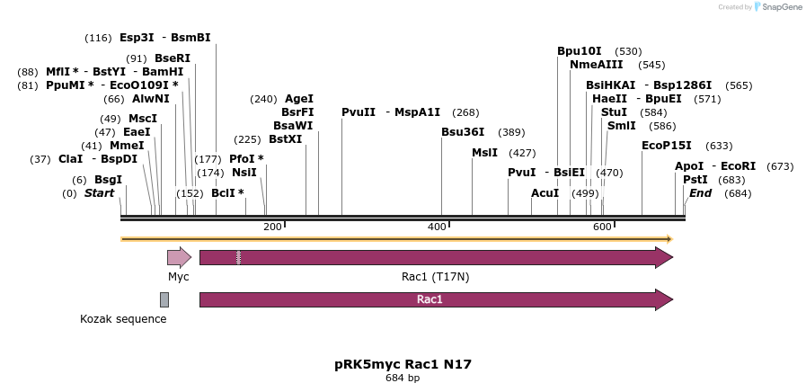 22299_map