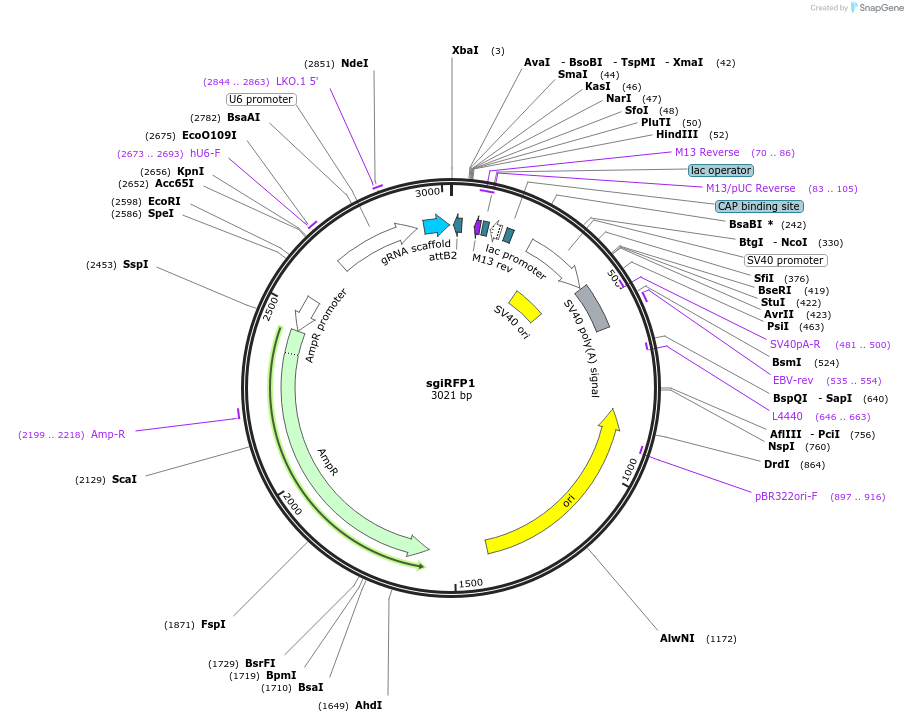 222999_map