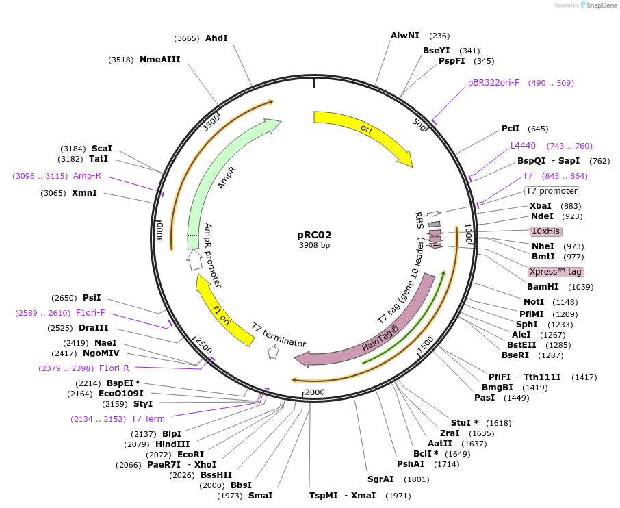 223015_map