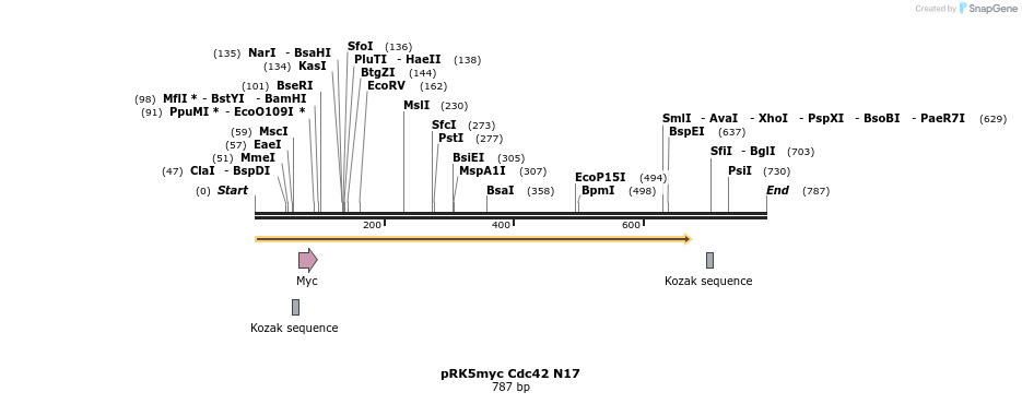 22302_map