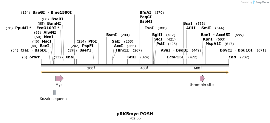22303_map
