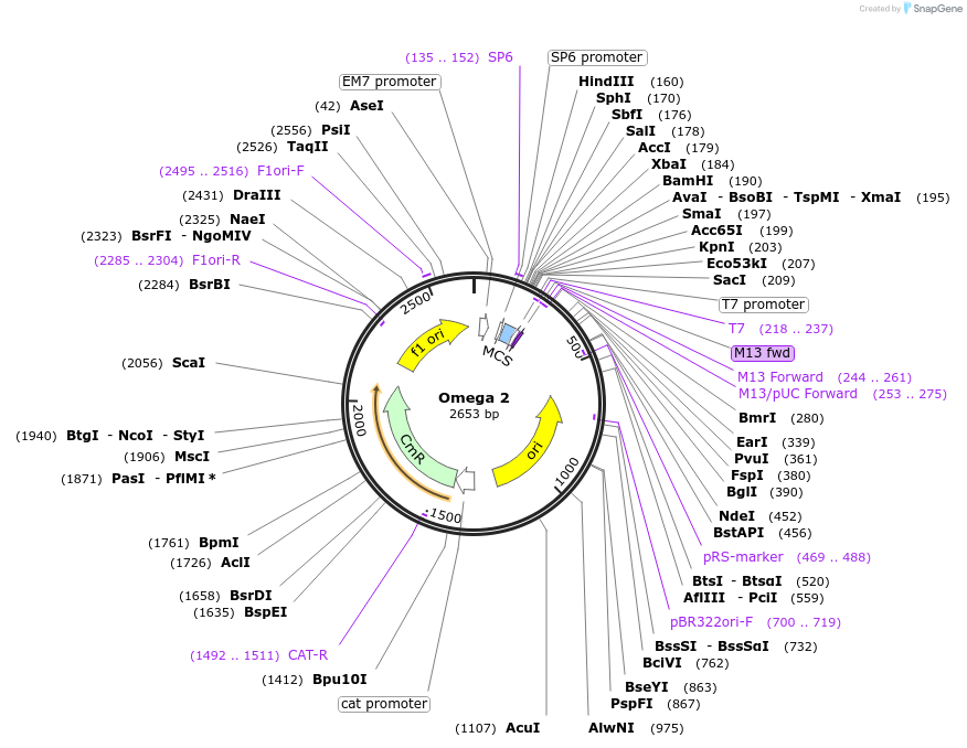223030_map