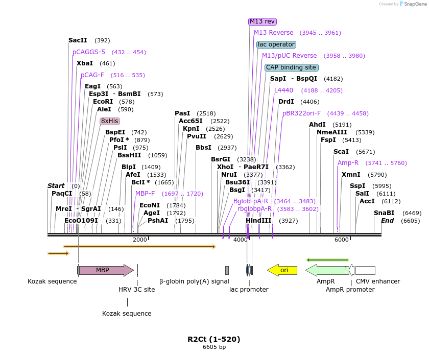 223072_map