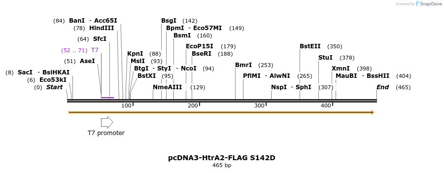 22313_map