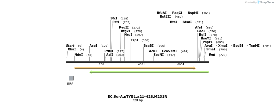 22324_map
