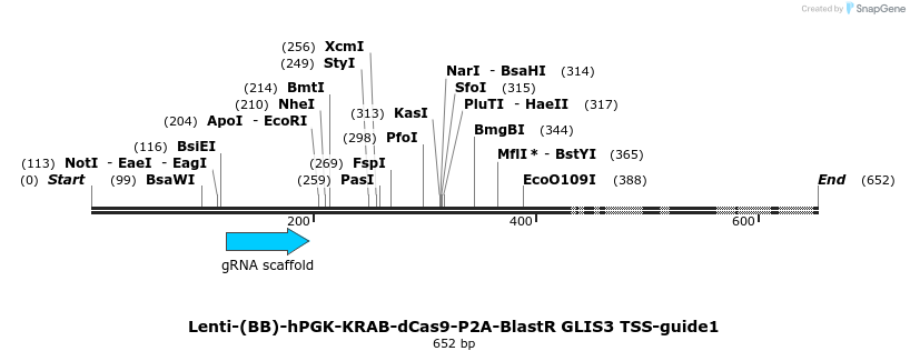 223249_map
