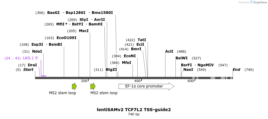 223273_map
