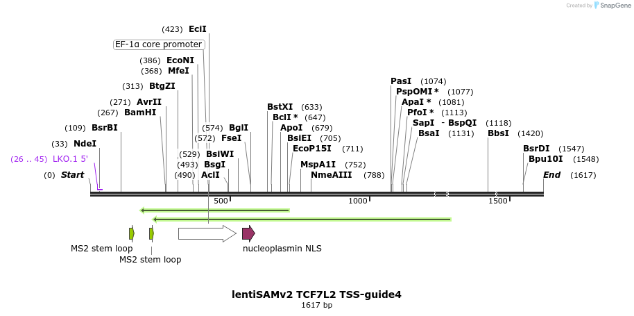 223277_map
