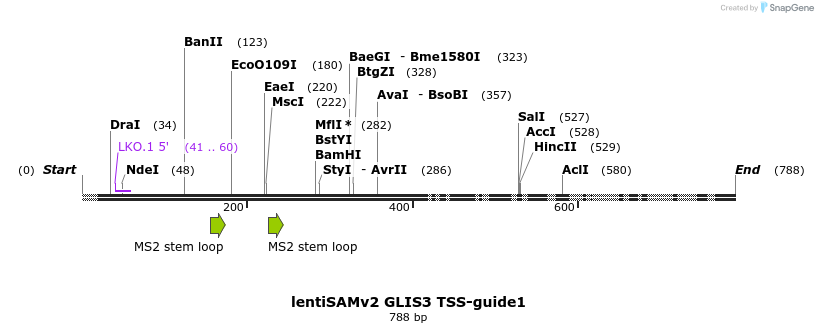 223279_map