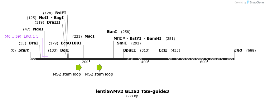 223283_map
