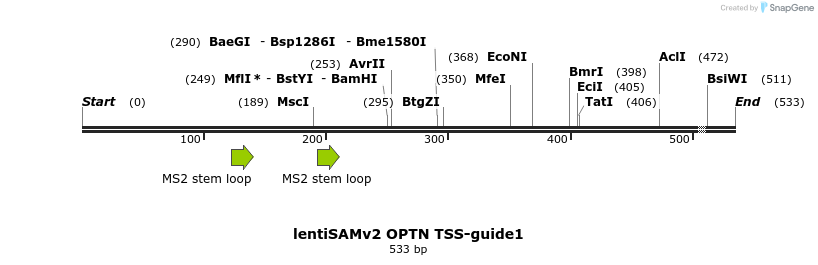 223295_map
