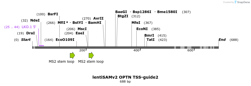 223297_map