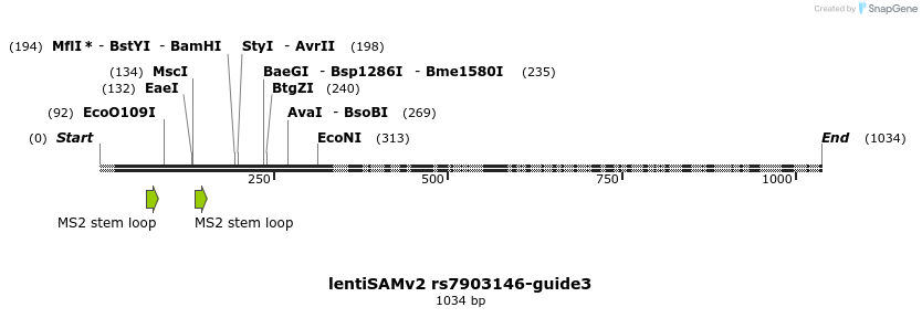 223311_map