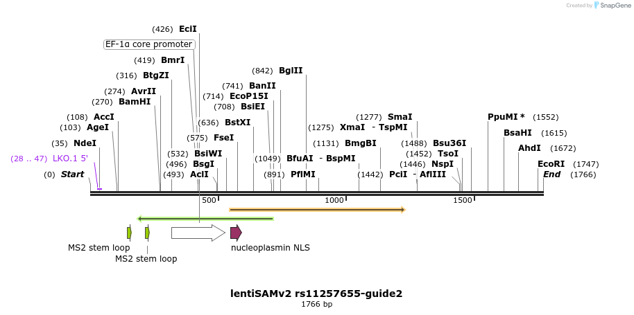 223313_map