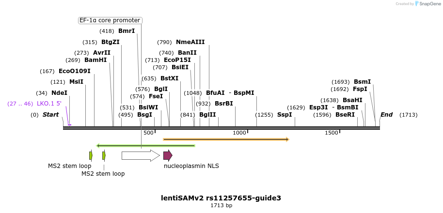 223315_map