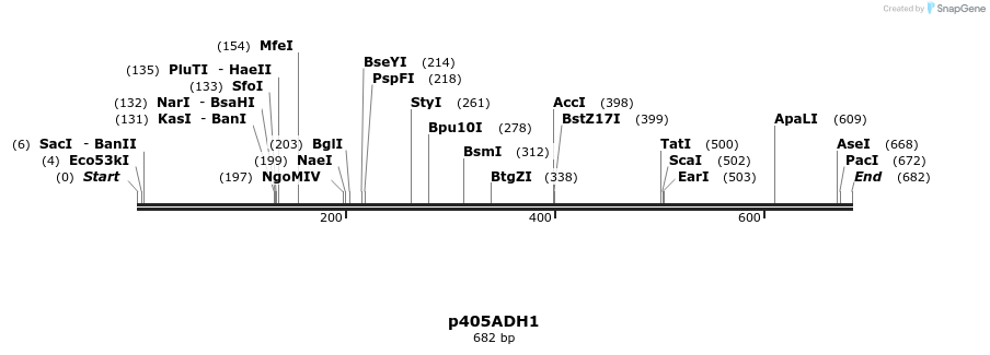22332_map