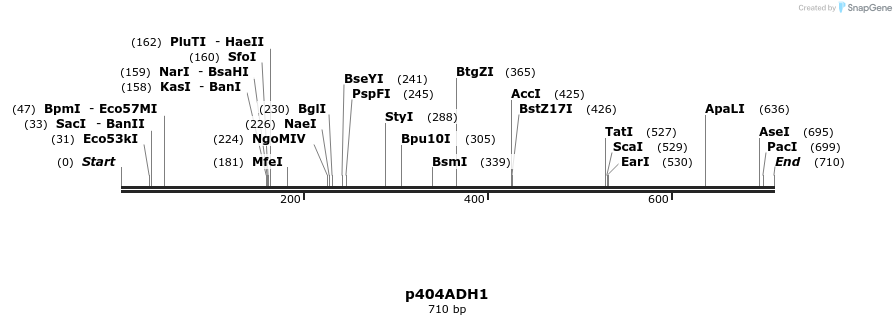 22336_map