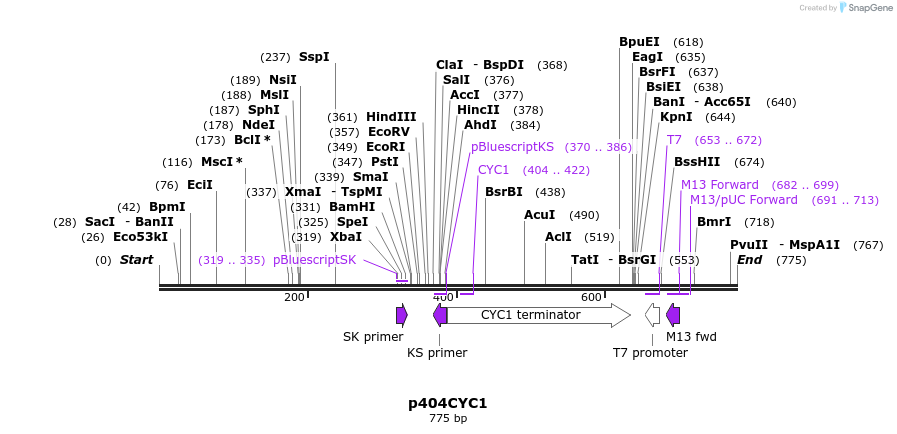 22337_map