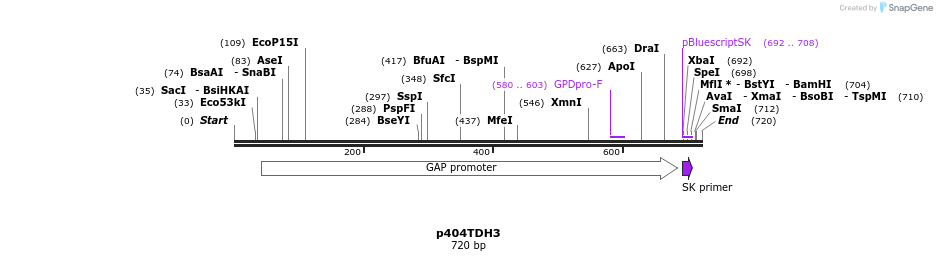 22339_map