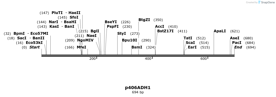 22340_map