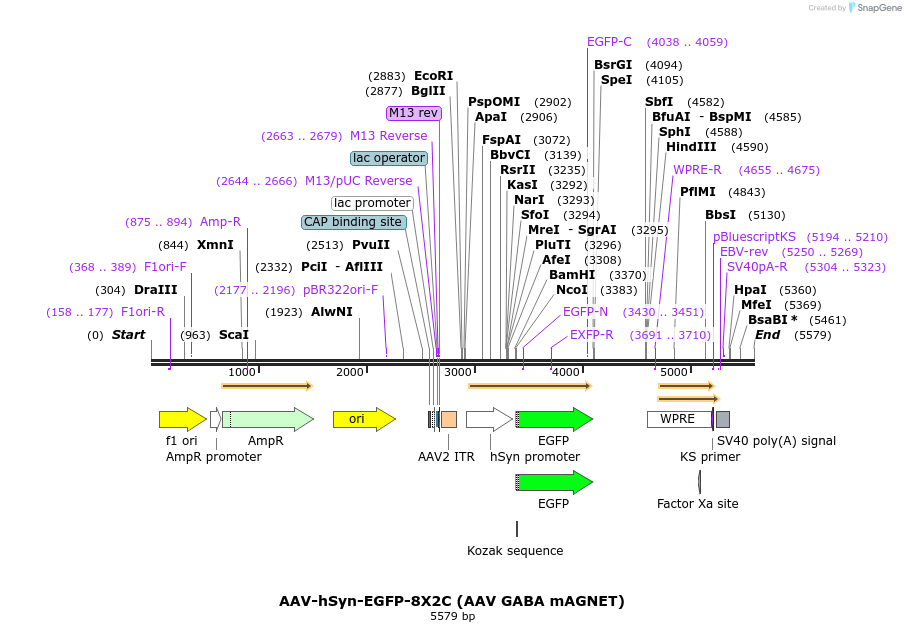 223403_map