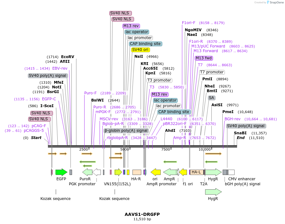 223413_map