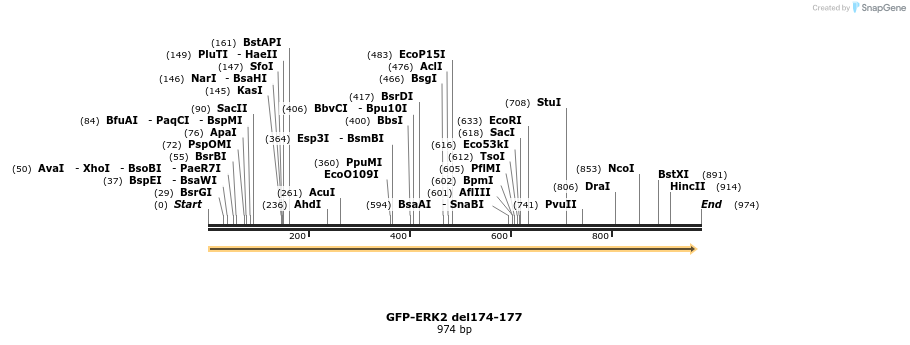 223431_map