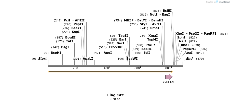 223437_map