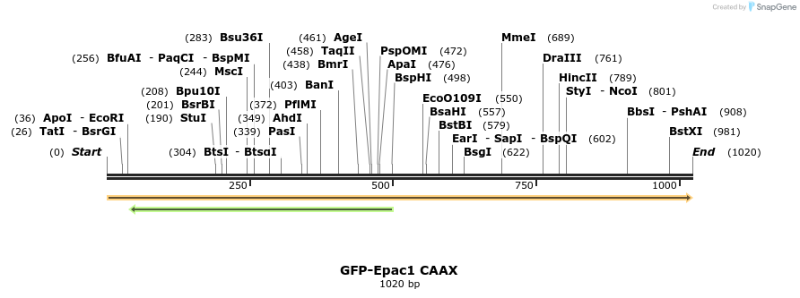 223440_map